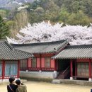 새재점빵