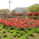 주작골주차장 이미지