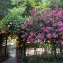 씨유아주대플러스점 | 밖이 좋은 아이