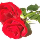 장기농협하나로마트 이미지