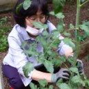 만복경로당 이미지