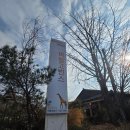 바링고빈스 | 융건릉 카페 바링고빈스｜커피 맛집☕ + 식당 영수증 10% 할인 꿀팁