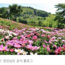 함박공원 이미지