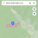 충남 금산군 추부면 추천 임야 및 답 매물 2건 안내 이미지