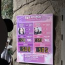 판다 | 에버랜드 ` 판다 월드 ` 후기