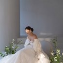 신흥안길 40-19 | 스튜디오 200개 찾아본 예신의 ‘인물중심+깔끔 배경의 그리너리 스튜디오’ 12개 추천