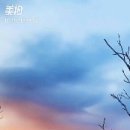 주정차단속-051 이미지