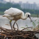 이광수동물병원 이미지