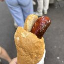 더비너 | 여행]비엔나 이틀차, 시내투어(벨베데레 궁전), 카페 데멜(demel) / 핫도그 비너 뷔르스틀(Wiener Würstl)
