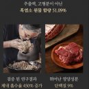 조선흑염소 | 면연력 걱정 끝!! 조선비책 흑진담 흑염소 진액 후기!!