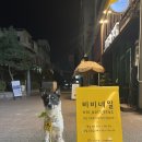 비비네일(VIVINAIL)