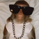 바이 윤 이미지