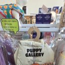 명품애견 이미지