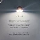 (주)와이그램 | [VLOG]100일데이트•홍대데이트코스•이색데이트추천❤️신촌+노들섬+노량진 데이트 후기✨️✨️