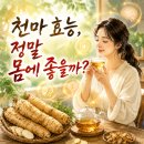 건강한 생활 요리 | 천마 효능, 정말 몸에 좋을까? 직접 먹어본 후기와 함께 알아보는 천마의 효능 총정리