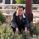 고향농특산 이미지
