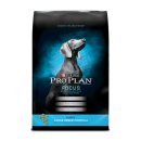 퍼피플랜 이미지