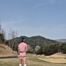 아난티서울클럽cc 봄라운딩후기 회원권 공략법