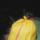 병수네농장 이미지