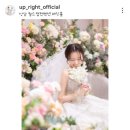 월드컵서로L | (w.5)업라이트 본식 스냅+ DVD 예약 후기