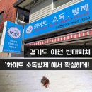 화이트 소독·방제