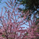 남목초교 이미지