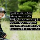 지에프네트워크 네이버블로그