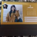 2026 Season's Greeting 이미지