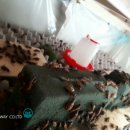 주식회사귀뚜라미 이미지