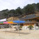 삼척 지장암 목조지장 보살좌상과 복장유물 | 강릉 보현사 ③ 보현사 대웅보전, 석조아미타삼존불상, 석사자상과 석탑부재, 영산전