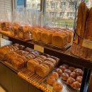 주정차단속-103 이미지