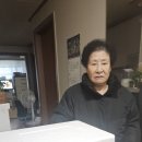 11월18일 현대그린푸드 김장나눔 이미지