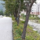 선무체육관