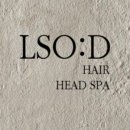 르소드(LSO:D)