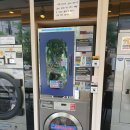 별가람 세탁소 이미지