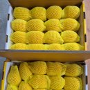 한진농장 2 이미지