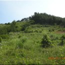 명성주유소 이미지