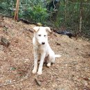 단비농장 이미지