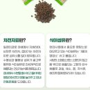 미니핏다이어트 | 그린핏 차전자피 다이어트 식이섬유 미니환 스틱포 쾌변습관 솔직 후기