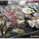 바다가고향 이미지