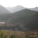 양저리 이미지