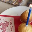 배방파워 복싱클럽 | 2026 2월일상(복싱등록 새해다짐 다이어트,유니클로셀비지진, 일산 밤리단길 데이트 낮술 낮와인 앨리스...