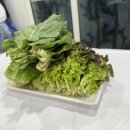 고바우가든 이미지