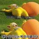 뽑고놀고 이미지
