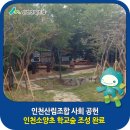 인천소양초 이미지