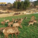 김영래농장 이미지