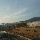 서귀포시청2청사 앞 이미지