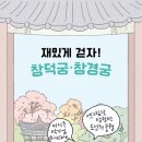 버찌책방