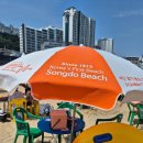 사천해물탕 | 부산 송도해수욕장 현지인 맛집, 사천해물탕 싱싱해요