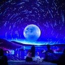 아트인웨이브미술교습소 | 2025년 속초 전시 추천 뮤지엄엑스